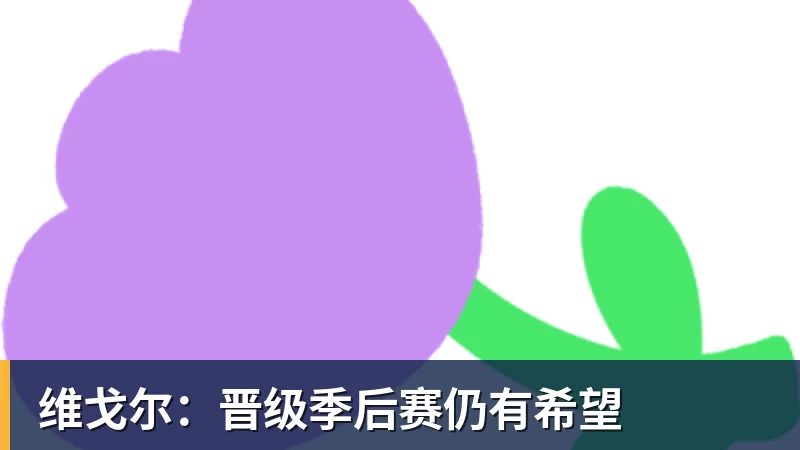 维戈尔：晋级季后赛仍有希望