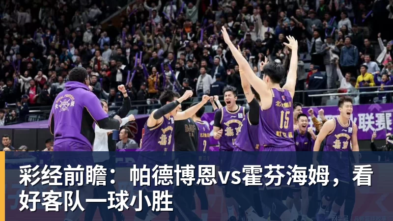 华体会体育彩经前瞻：帕德博恩vs霍芬海姆，看好客队一球小胜
